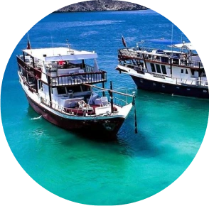 Dibba Musandam Tour Packages Dubai