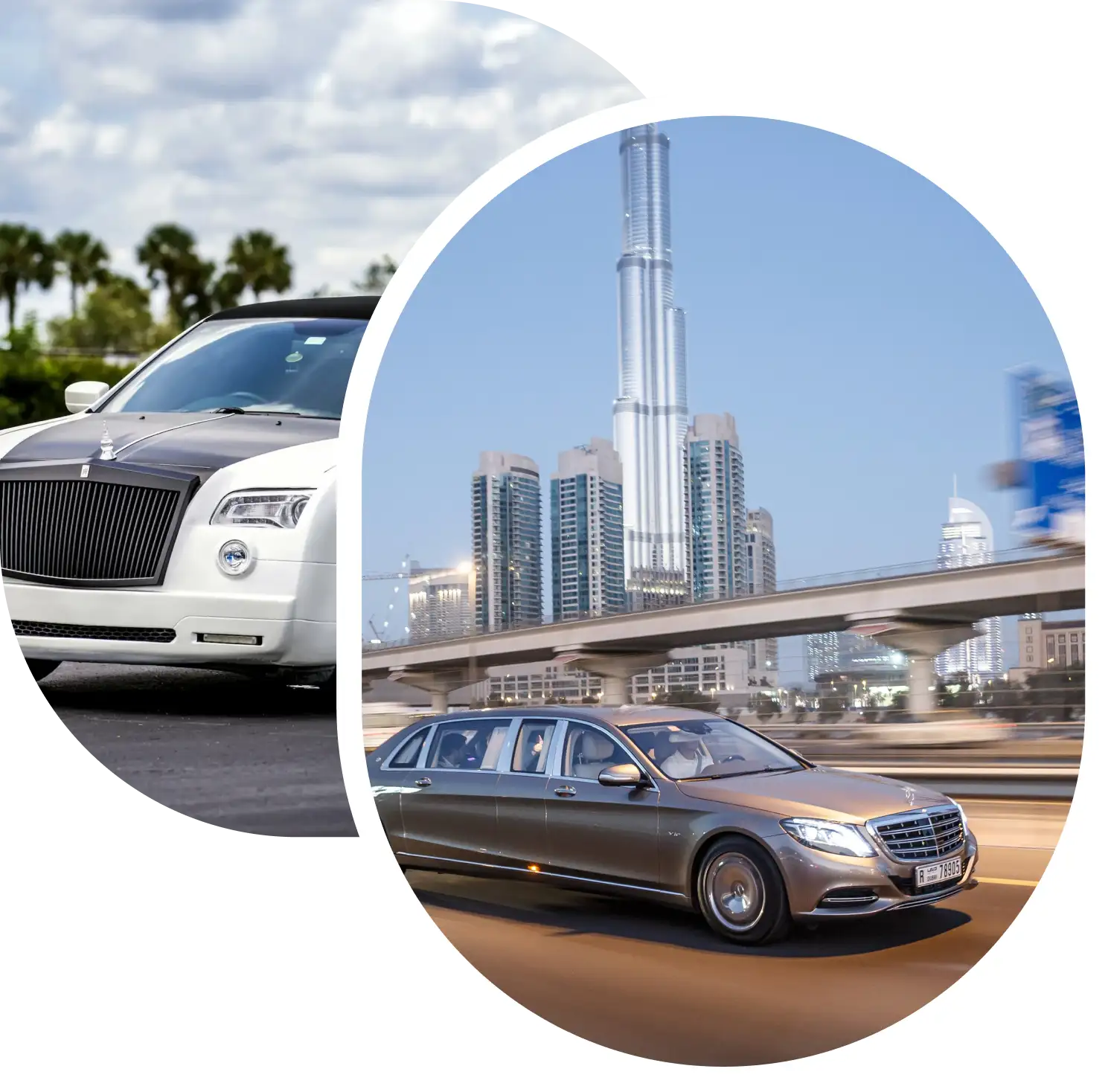luxury wedding limousine service in UAE