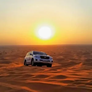 Morning Desert Safari
