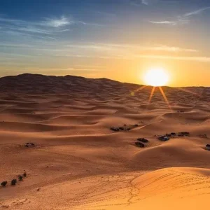 Sunrise Desert Safari Dubai