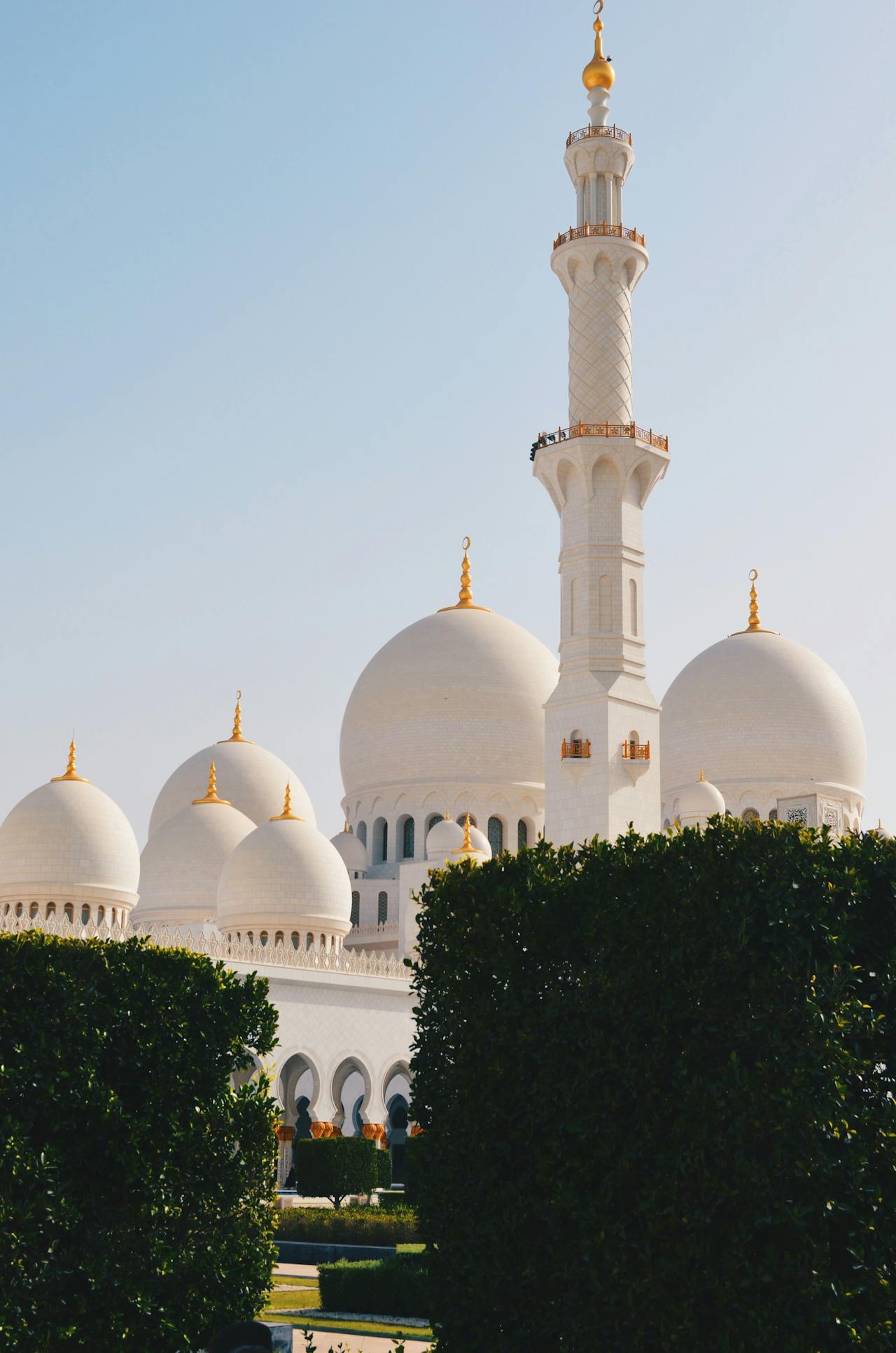 visit Sheikh zayed mosque Abu Dhabi