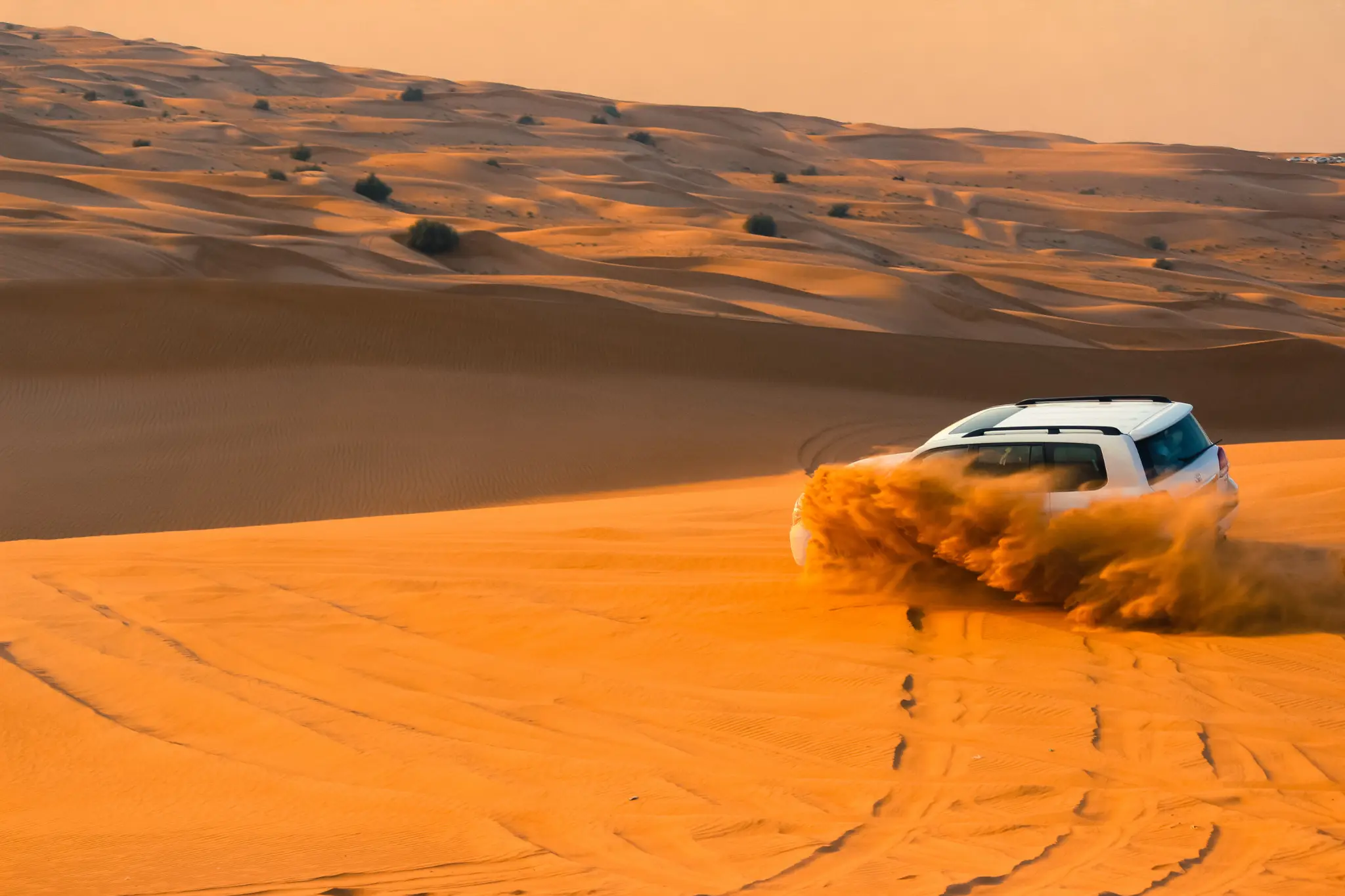 UAE Desert safari